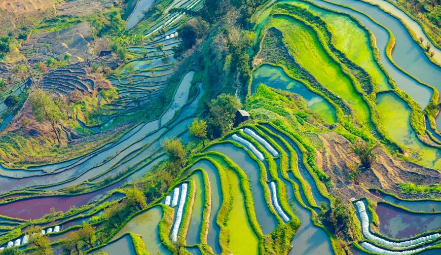 走进英吉沙县TVC拍摄：解锁本地化场景与创意镜头的完美融合
